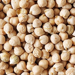 Kabuli Chickpea