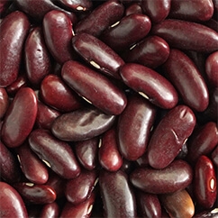 Red Kidney Bean