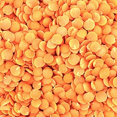 Red Lentils