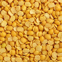 Split Pigeon Pea