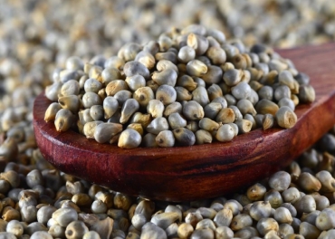 Bajra Khichda Manufacturer in India