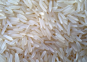 Basmati Rice 1509 Manufacturer | Basmati Rice 1509 Manufacturer in India