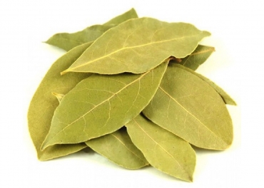 Bay Leaves Manufacturer in India