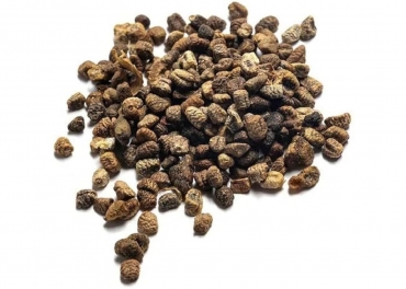 Cardamom Seeds Manufacturer in India