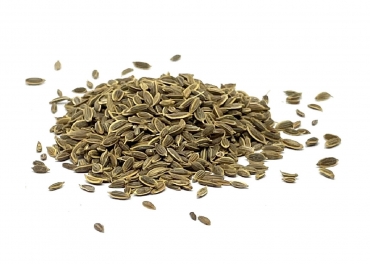 Dill Seed Manufacturer in India