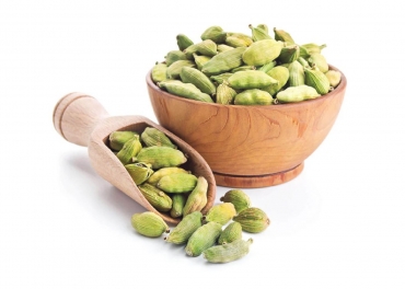 Green Cardamom Manufacturer in India