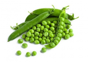 Green Peas Manufacturer in India