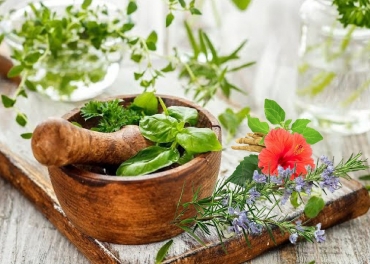 Trader of Natural Herbs in Netherlands