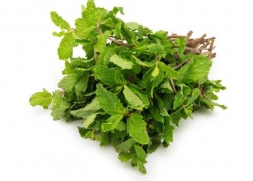 Mint Leaves Manufacturer in India