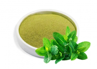 Mint Powder Manufacturer in India