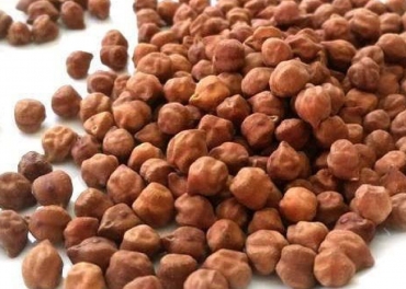 Mosambi Chana Manufacturer in India