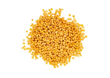 Mustard Yellow Manufacturer in India