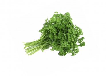 Parsley Manufacturer in India