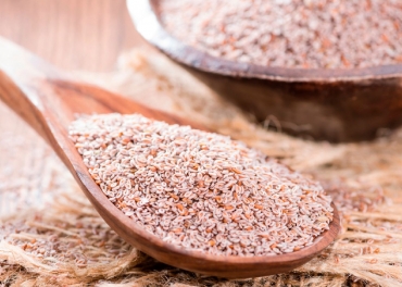 Indian Psyllium Products Private Labelling in United Arab Emirates