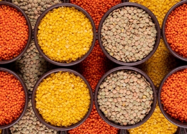 Private Labelling of Indian Pulses in South Africa