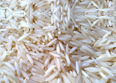 Pusa Rice Manufacturer in India