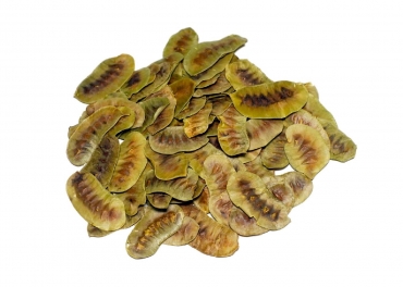 Senna Pods Manufacturer in India