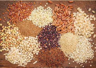 Indian Superfood Manufacturers in United Arab Emirates