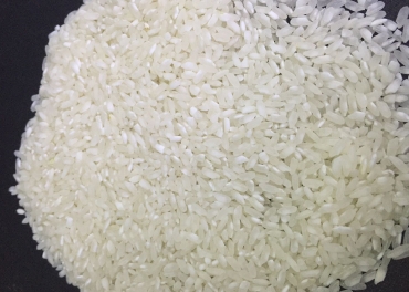 Swarna Rice Manufacturer | Swarna Rice Manufacturer in India