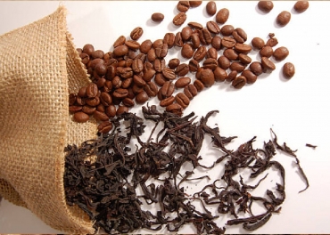 Manufacturers of Indian Tea in Senegal