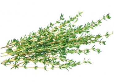 Thyme Manufacturer in India