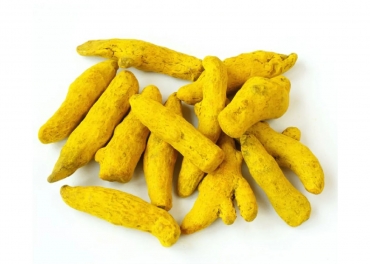 United Arab Emirates Traders of Indian Turmeric Whole