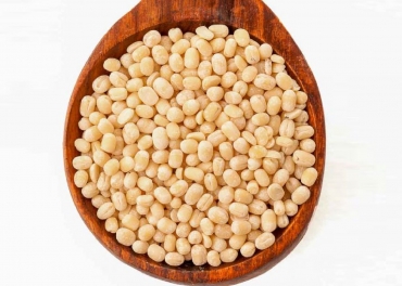 Urad Gota Manufacturer in India