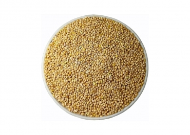 China Private Labelling of Indian Yellow Millet