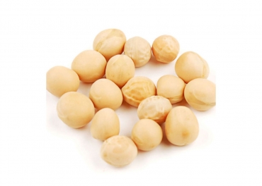 Yellow Peas Manufacturer in India